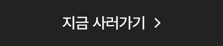 지금 사러가기