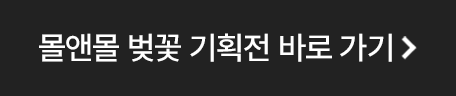 몰앤몰 벚꽃 기획전 바로 가기