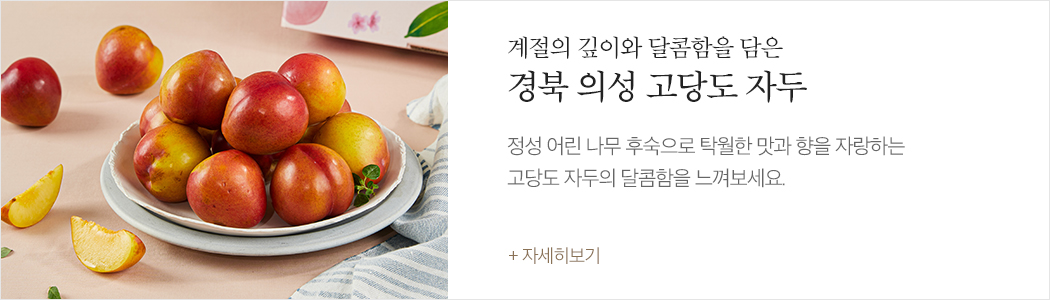 경북 의성 고당도 자두