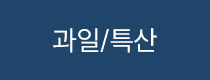과일/특산