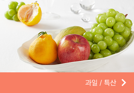 과일/특산