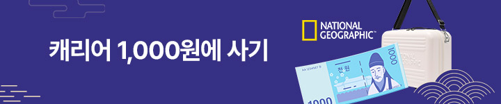 몰앤몰 추석기획전