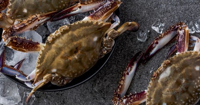 제철 활 암꽃게 1kg(4-6미)