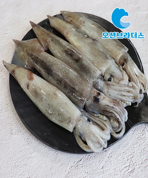 국내산 급냉 총알 오징어 500g(4~8미)