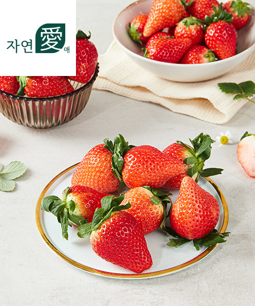[자연애] 박효병 딸기 3종 세트(설향2/비타1/큐티베리1)