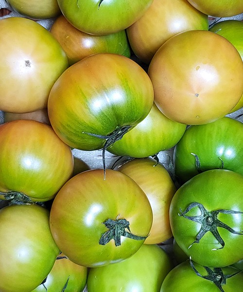 대저토마토 2.5kg(S~2S)