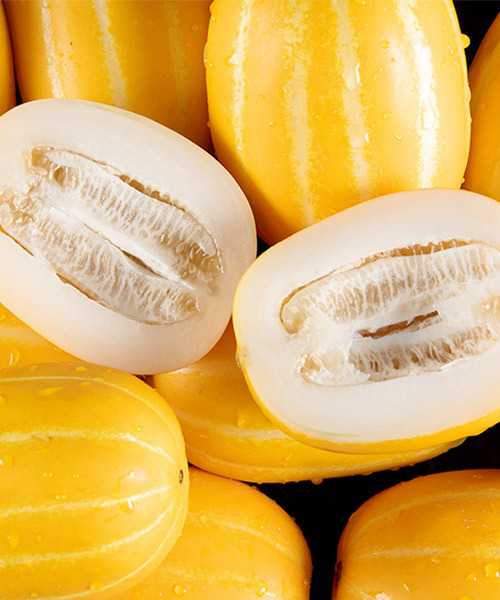 당도선별 성주 꿀참외 2kg(소과/11과내)