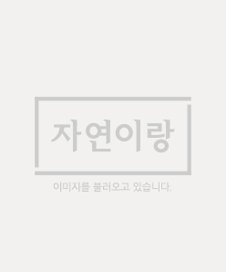 [크록스] 클래식 클로그 공용샌들 10001-100 M6W8 250mm