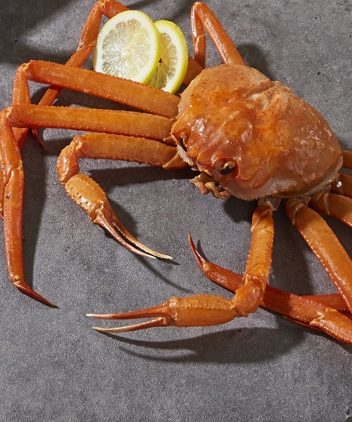 후포항 붉은대게 3미(1.3kg내외)