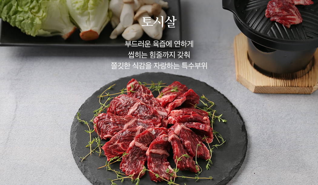 테스트결과(토시살)