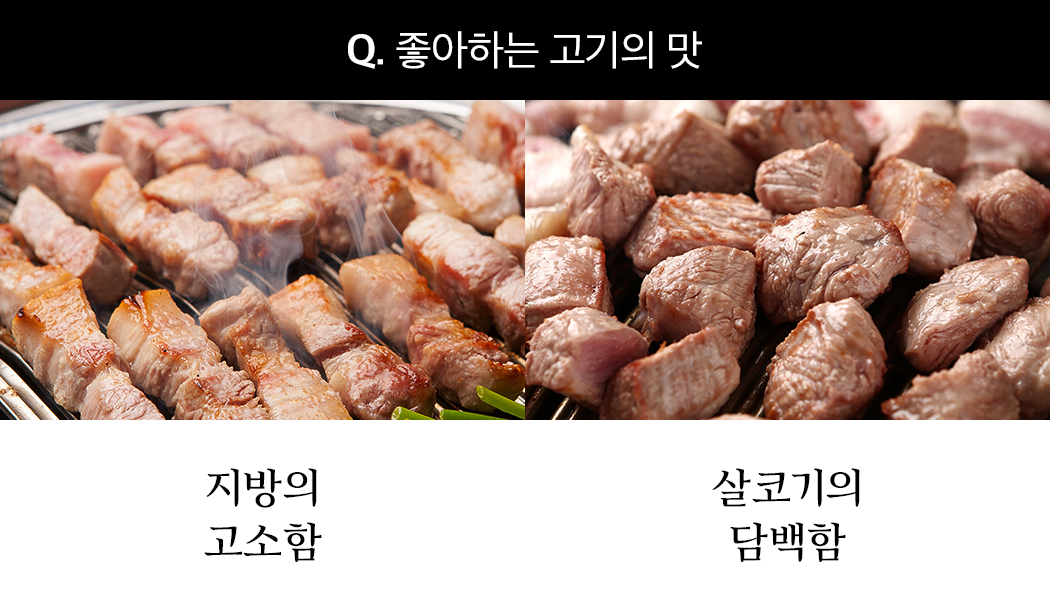 테스트선택지