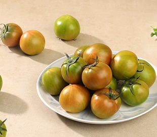 부산 대저토마토 중과 2.5kg (개당130g~180g내외)