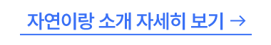룰렛 돌리고 혜택 받자