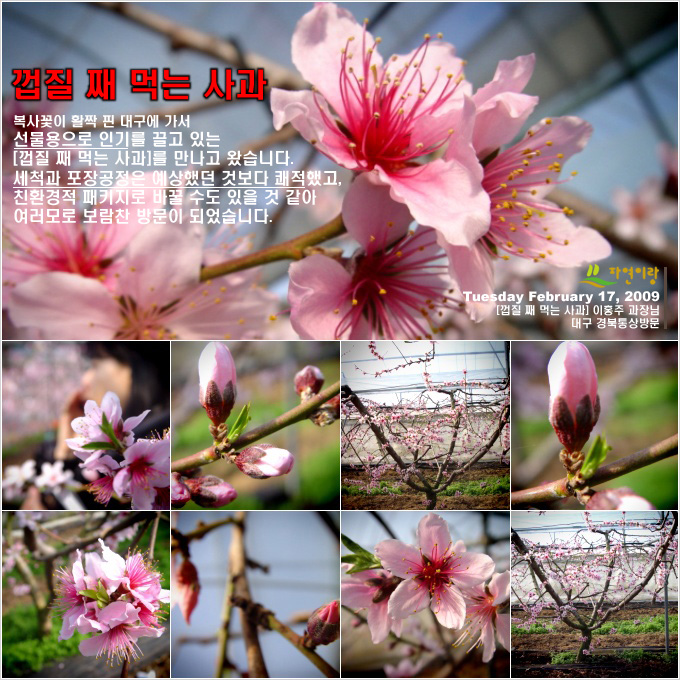 상품 이미지