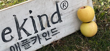 매거진img